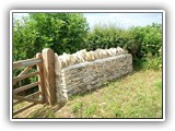 field_gate_and_walling