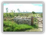 walling_and_field_gate